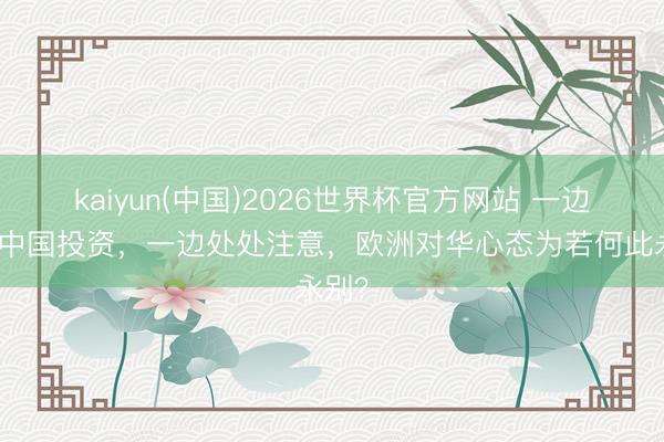 kaiyun(中国)2026世界杯官方网站 一边狂揽中国投资，一边处处注意，欧洲对华心态为若何此永别？