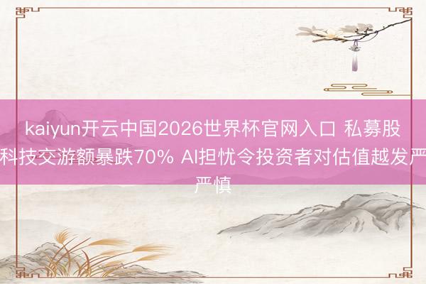 kaiyun开云中国2026世界杯官网入口 私募股权科技交游额暴跌70% AI担忧令投资者对估值越发严慎