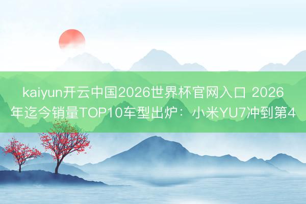 kaiyun开云中国2026世界杯官网入口 2026年迄今销量TOP10车型出炉：小米YU7冲到第4