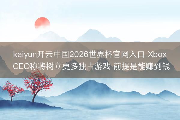 kaiyun开云中国2026世界杯官网入口 Xbox CEO称将树立更多独占游戏 前提是能赚到钱