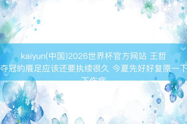 kaiyun(中国)2026世界杯官方网站 王哲林：夺冠的餍足应该还要执续很久 今夏先好好复原一下伤病